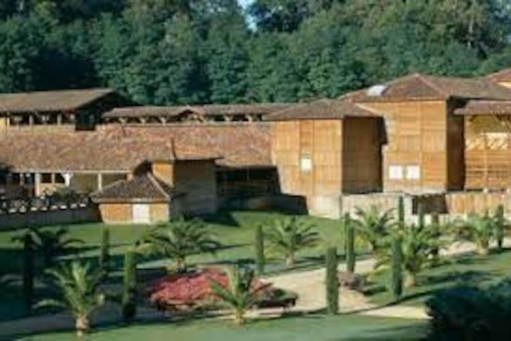 Maison Avec Piscine Proche Des Thermes Mauleon-D'armagnac エクステリア 写真